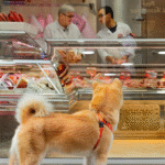 Beef Liver for Dogs A Premium, Nutrient-Rich Treat Dogs Will Love