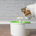 Cat Water Fountains-Recommended By Vets