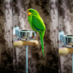 Essential Bird Care Guide Nutrition, Health, and Well-Being